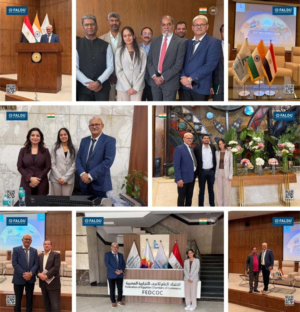 FIEO B2B Multi-Product Meet at Algeria & Egypt 2 FIEO B2B Multi-Product Meet at Algeria & Egypt 2